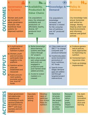 Nutrition in City Ecosystems (NICE): Protocol of a multi-sectoral development project to improve food and nutrition security of secondary city populations in Bangladesh, Kenya and Rwanda